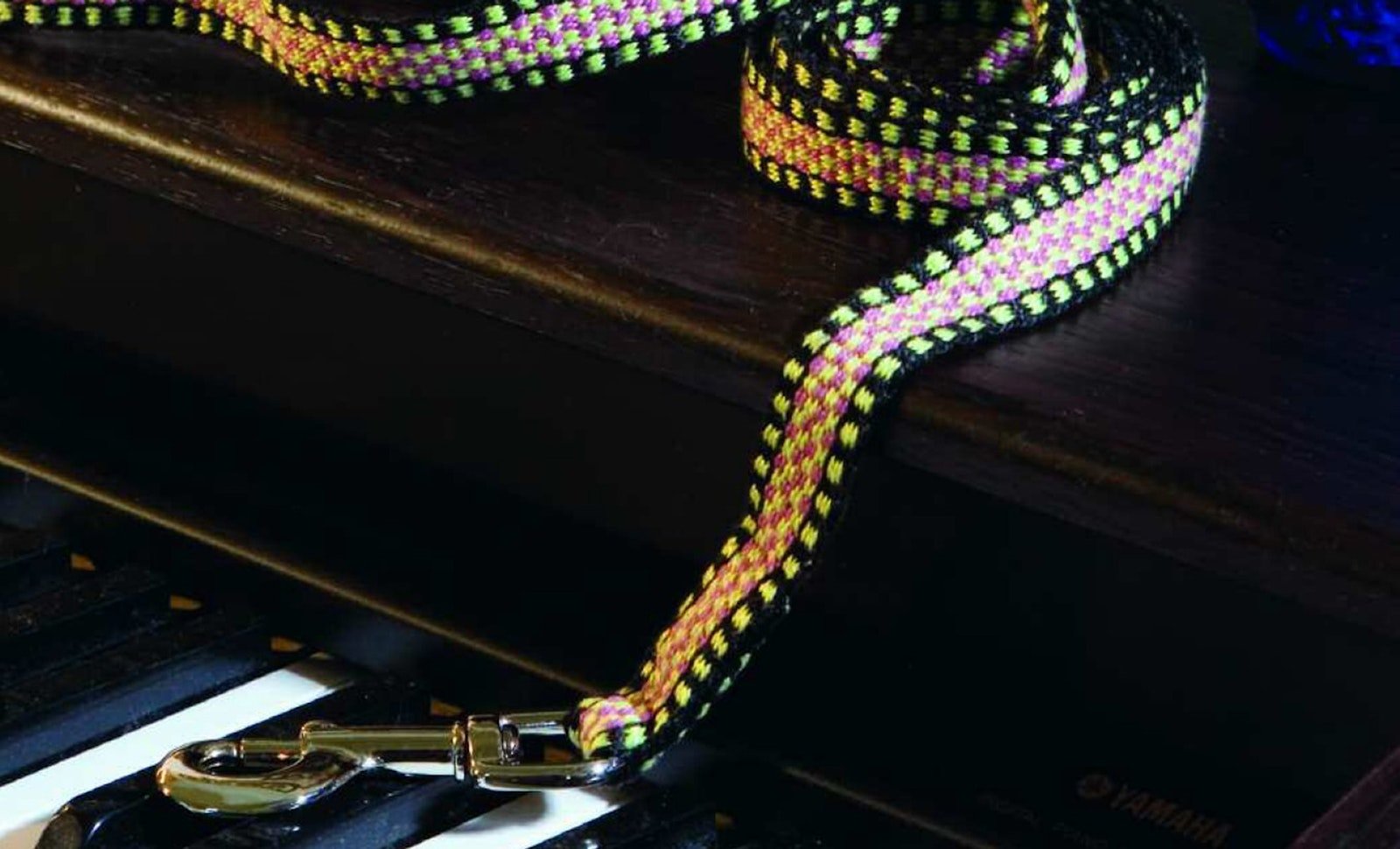 Warp-faced dog leash Primary Image