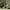 A Zucchini Spindle Primary Image