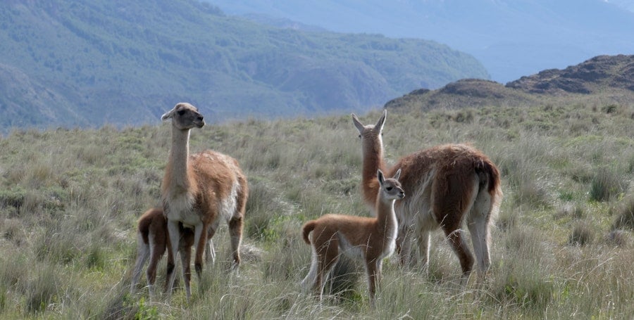 Who Says Weavers Can't Buy Local? Image