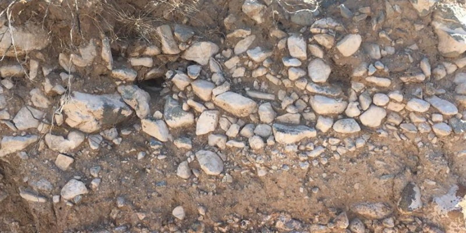 The Color of Mud: Inspiration from Soil Primary Image