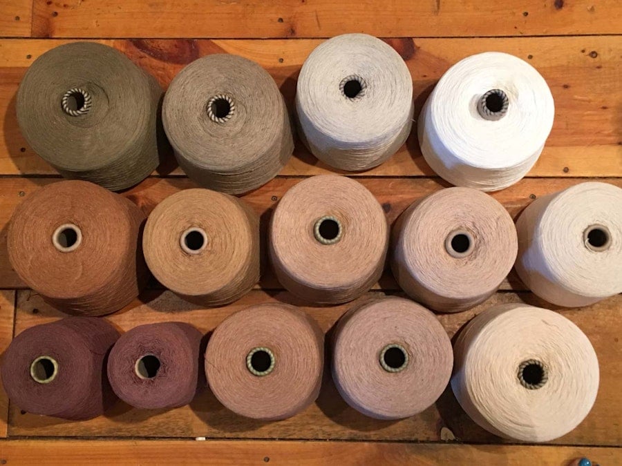 A Weaving Project for Handwoven: Rising Shed, Sinking Feeling Image