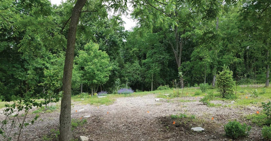 Notes From the Fell: Shrouds to Die For Image