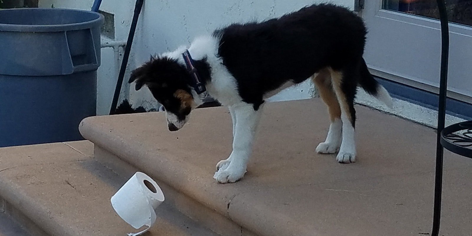 Putting Time at Home to Good Use Primary Image