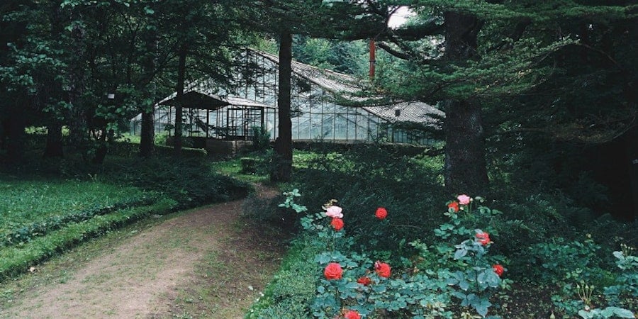 Patterned doubleweave runner Image