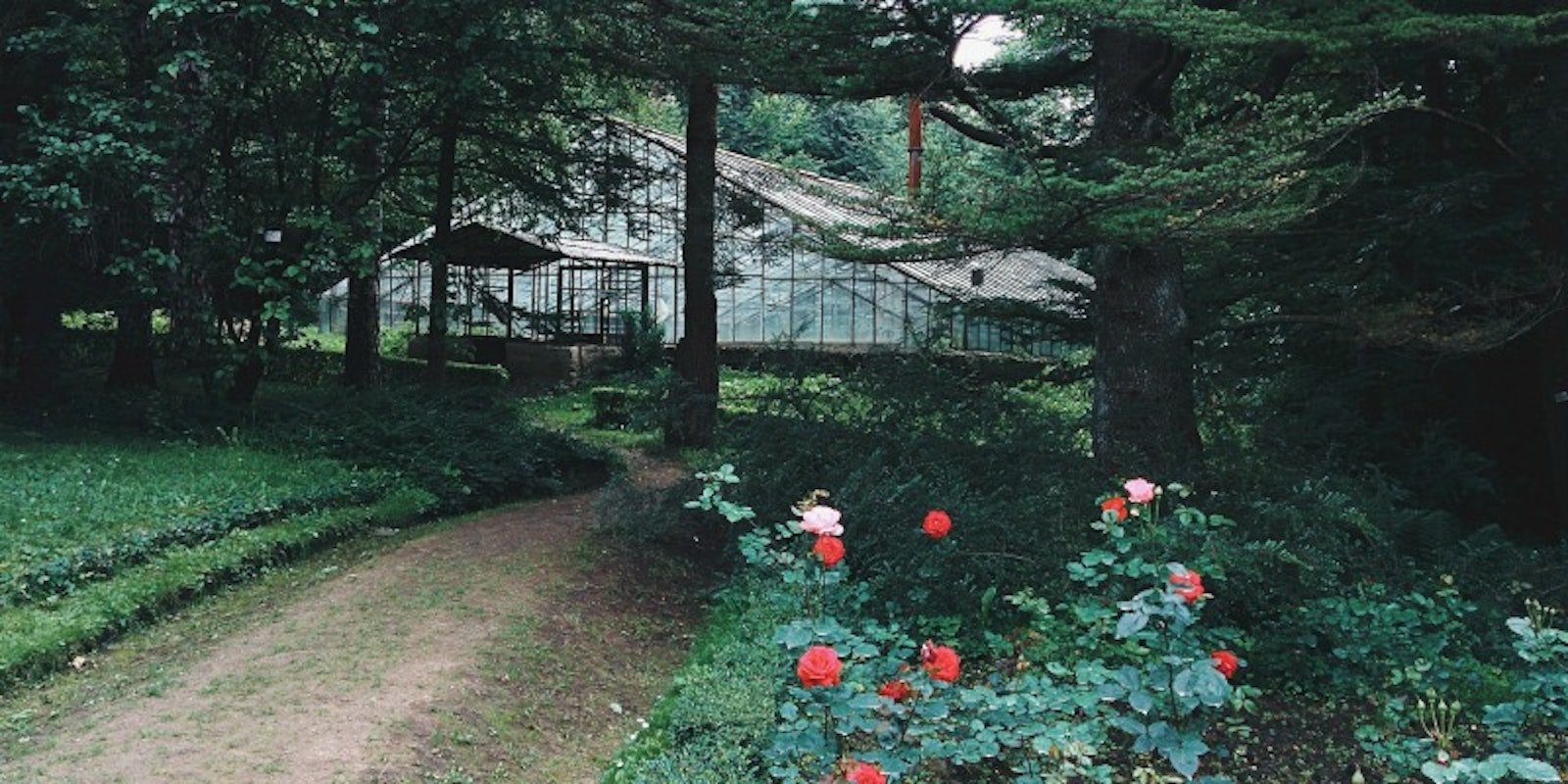 Patterned doubleweave runner Primary Image