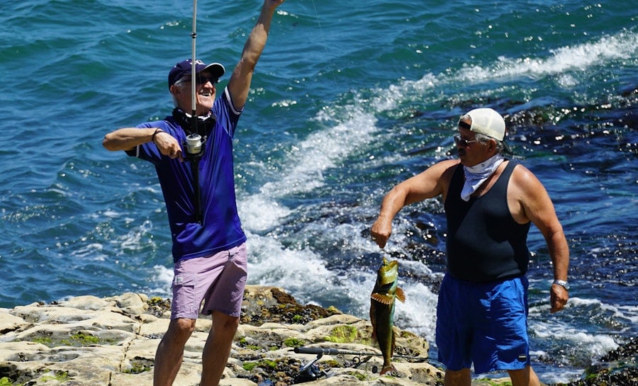 When Two Weavers Meet Image