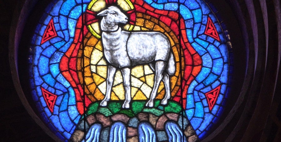 The Vegetable Lamb of Tartary Image