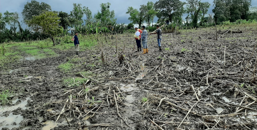 Weaving Communities of Guatemala: After Hurricanes Eta and Iota  Image