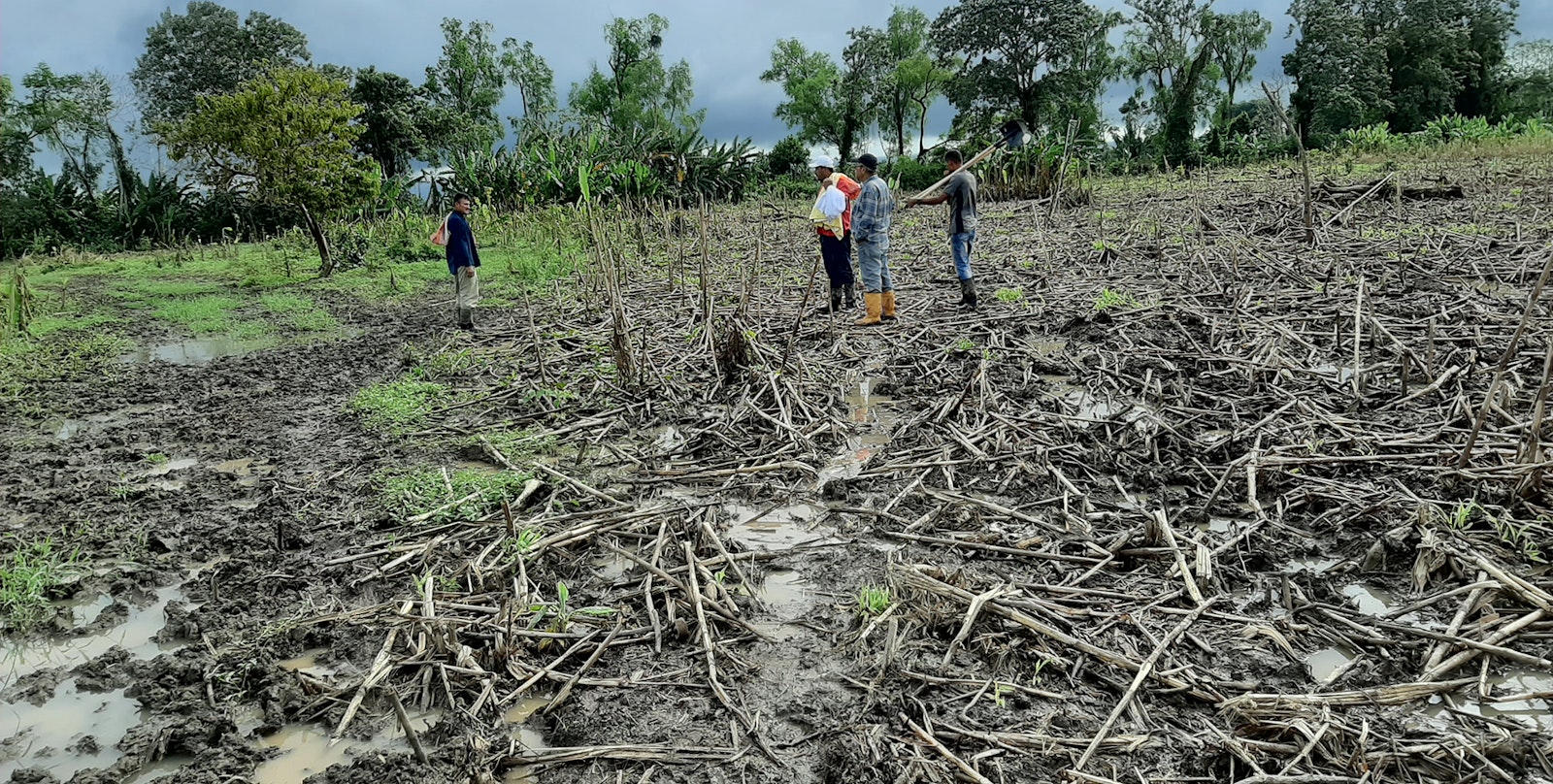 Weaving Communities of Guatemala: After Hurricanes Eta and Iota  Primary Image