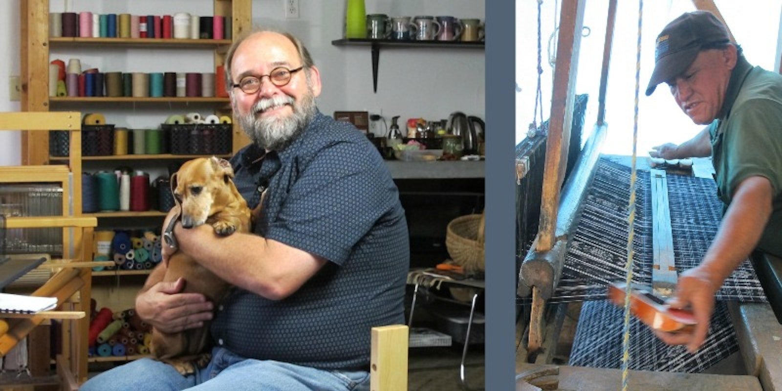 Seeing the Forest Primary Image