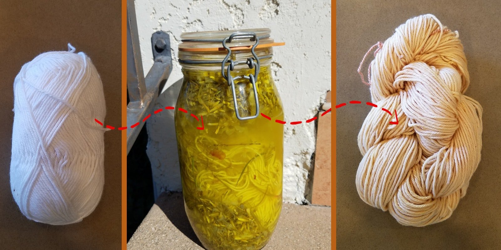 Dyeing with Oxalis Primary Image