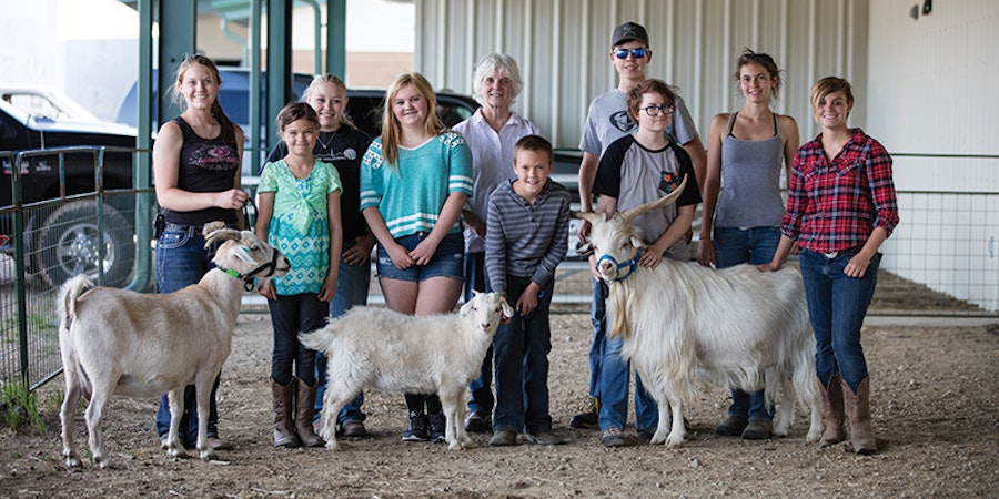 Oh, Who Are the People in Your Fiber Festival?* Image