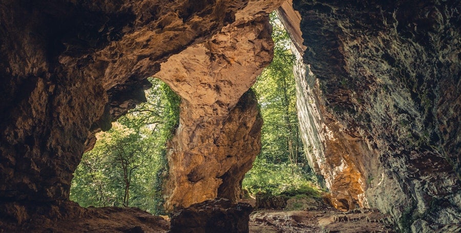 The World's Oldest Weavings Image