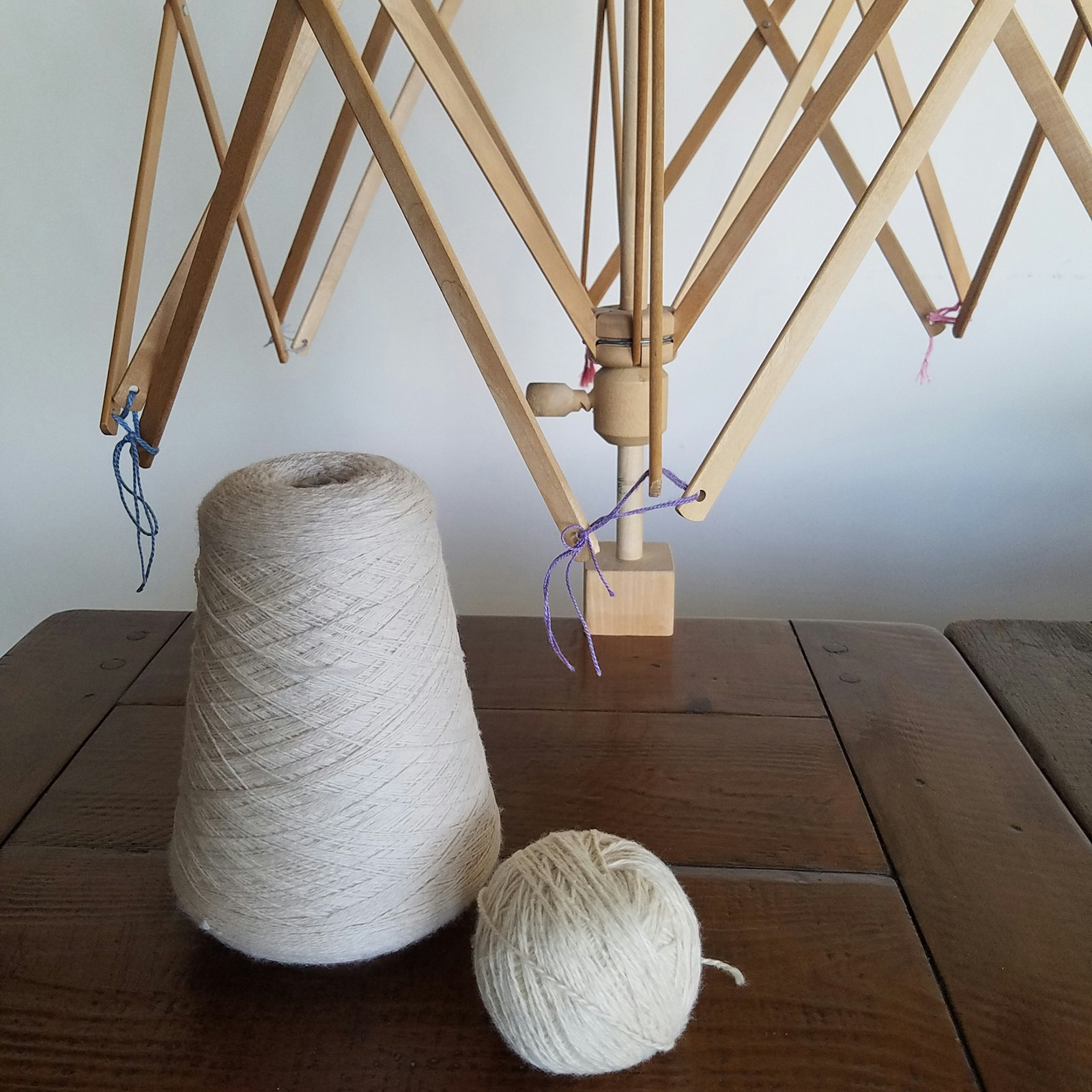 Backyard Dyeing Made Easier Primary Image