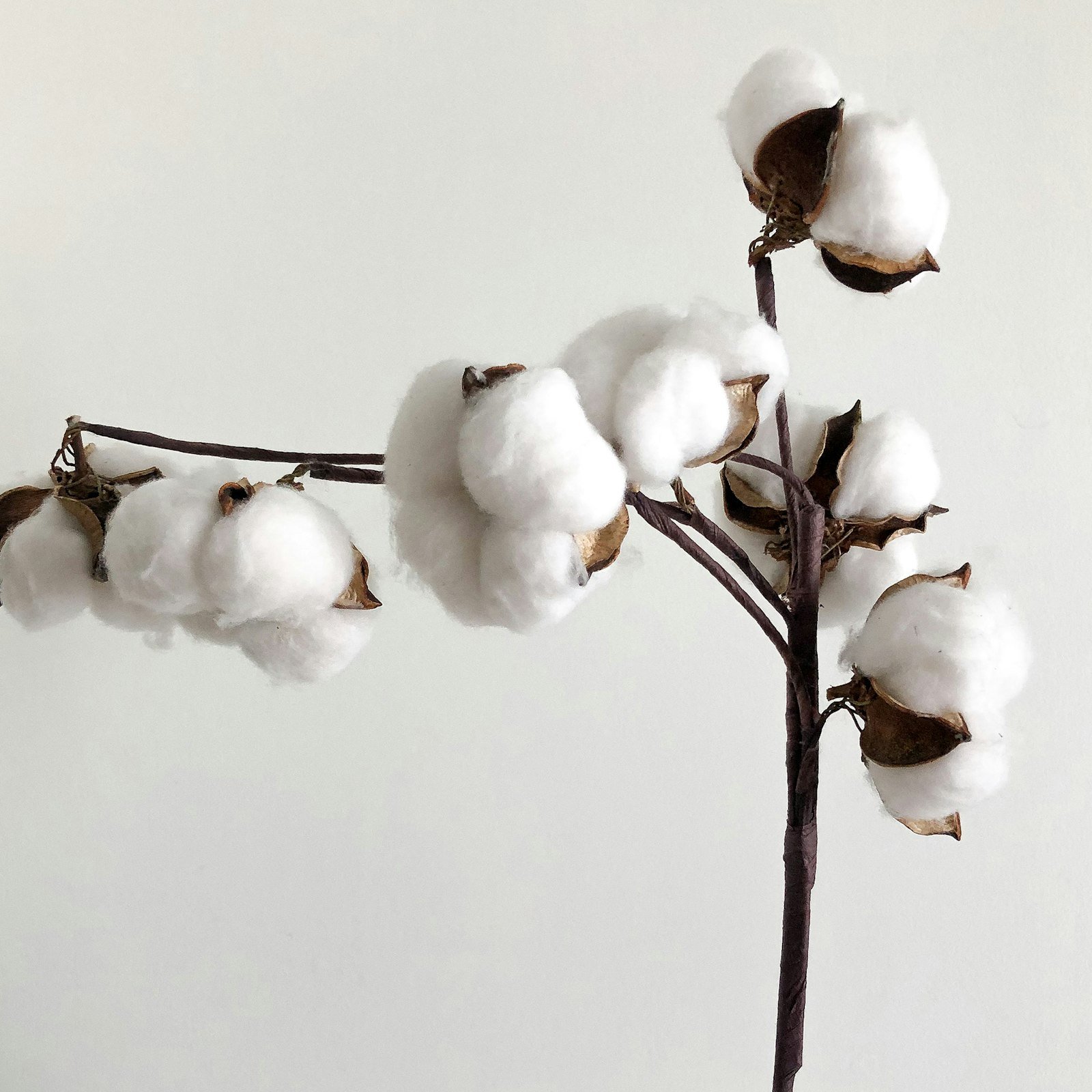 How to Weave with Cotton: Free Cotton-Weaving Projects and Expert Tips Primary Image