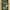 Masas Spring Green: A Kumihimo Neckpiece Primary Image