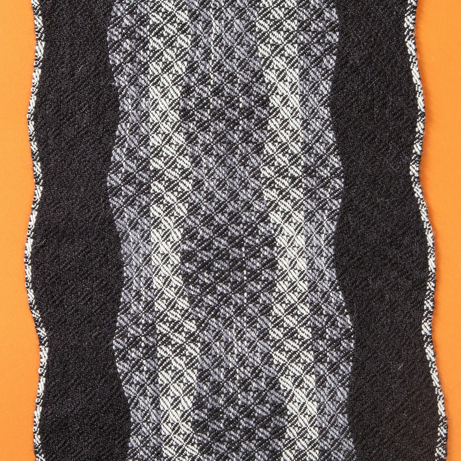 Fan Reed Experiments Primary Image