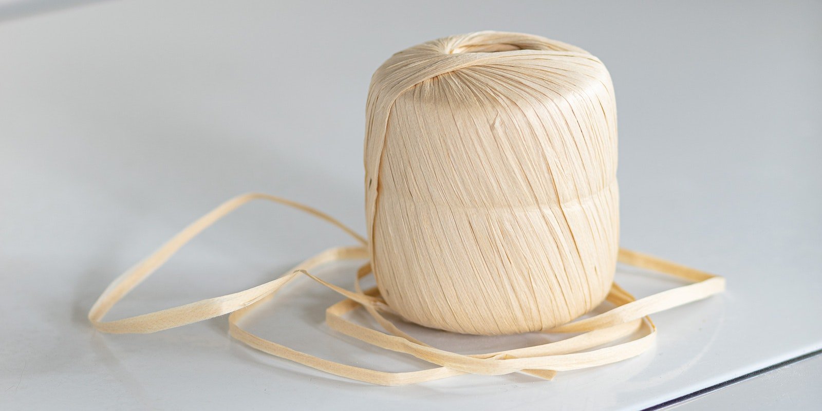 Raffia Then and Now Primary Image