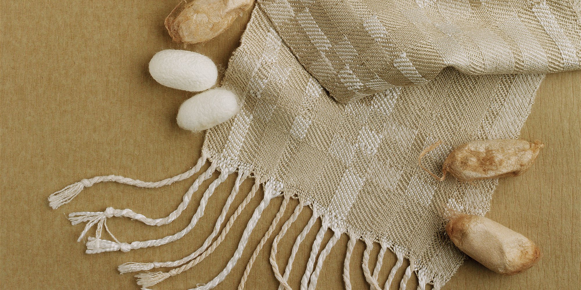 Handwoven Corrections 2009 Image