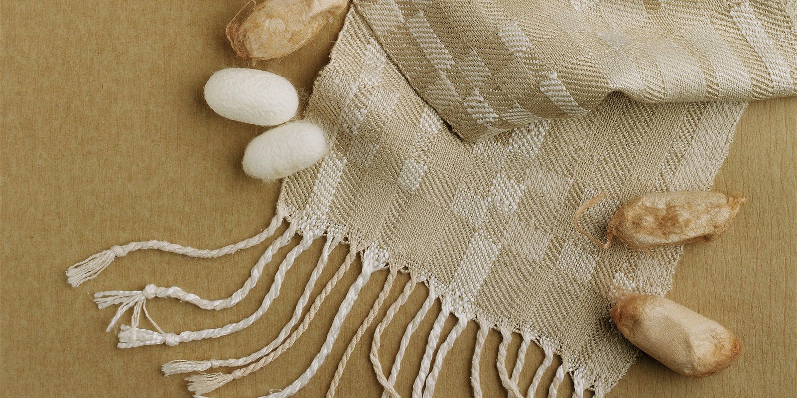 Handwoven Corrections 2009 Primary Image