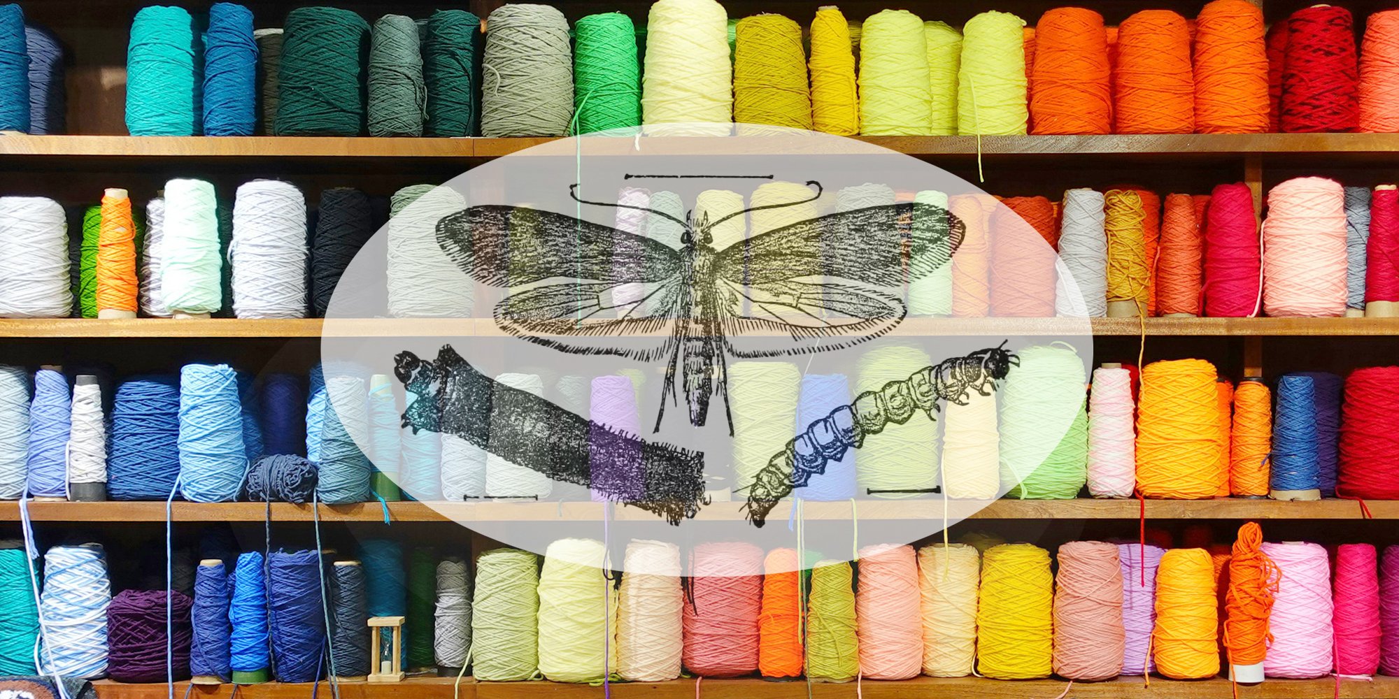 Quick Tips for Stopping What Bugs Your Stash Image