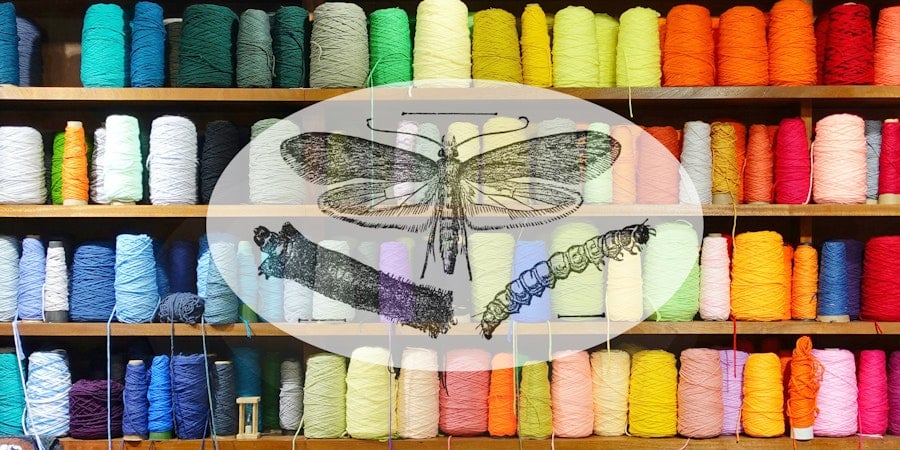 Quick Tips for Stopping What Bugs Your Stash Image