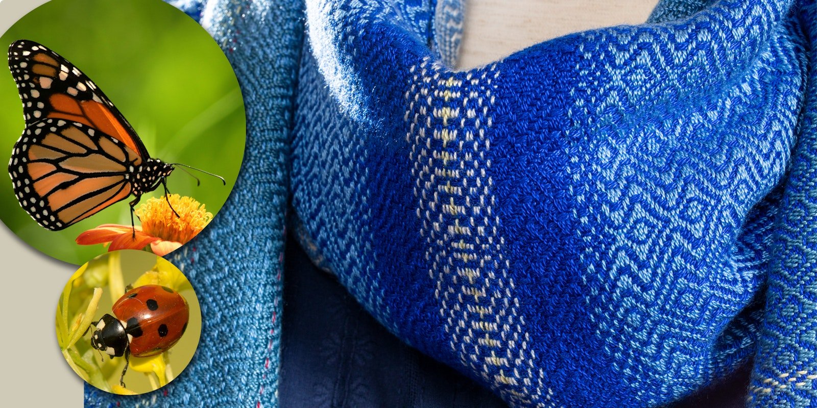 Inspired by Ladybugs? In the Mood for Towels? Primary Image