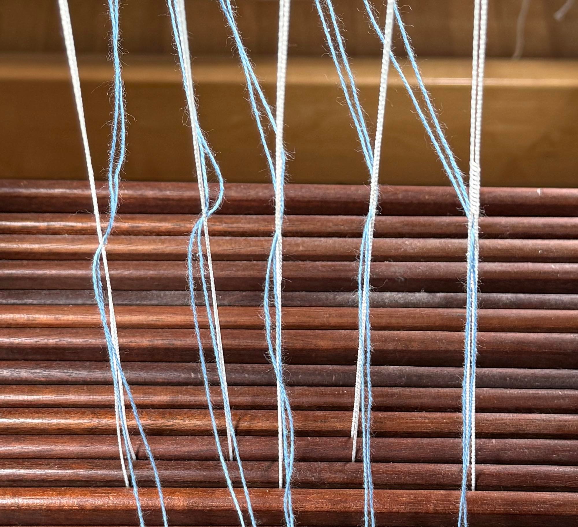 All Sorts of Warp Ends: Single, Doubled, and Working Image