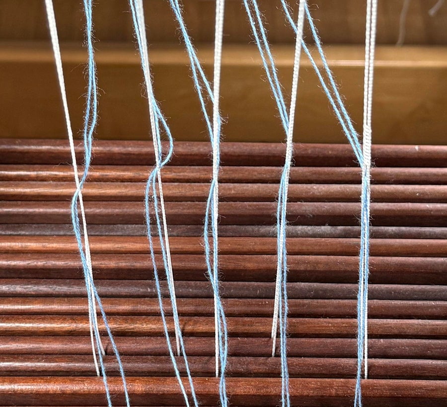 All Sorts of Warp Ends: Single, Doubled, and Working Image