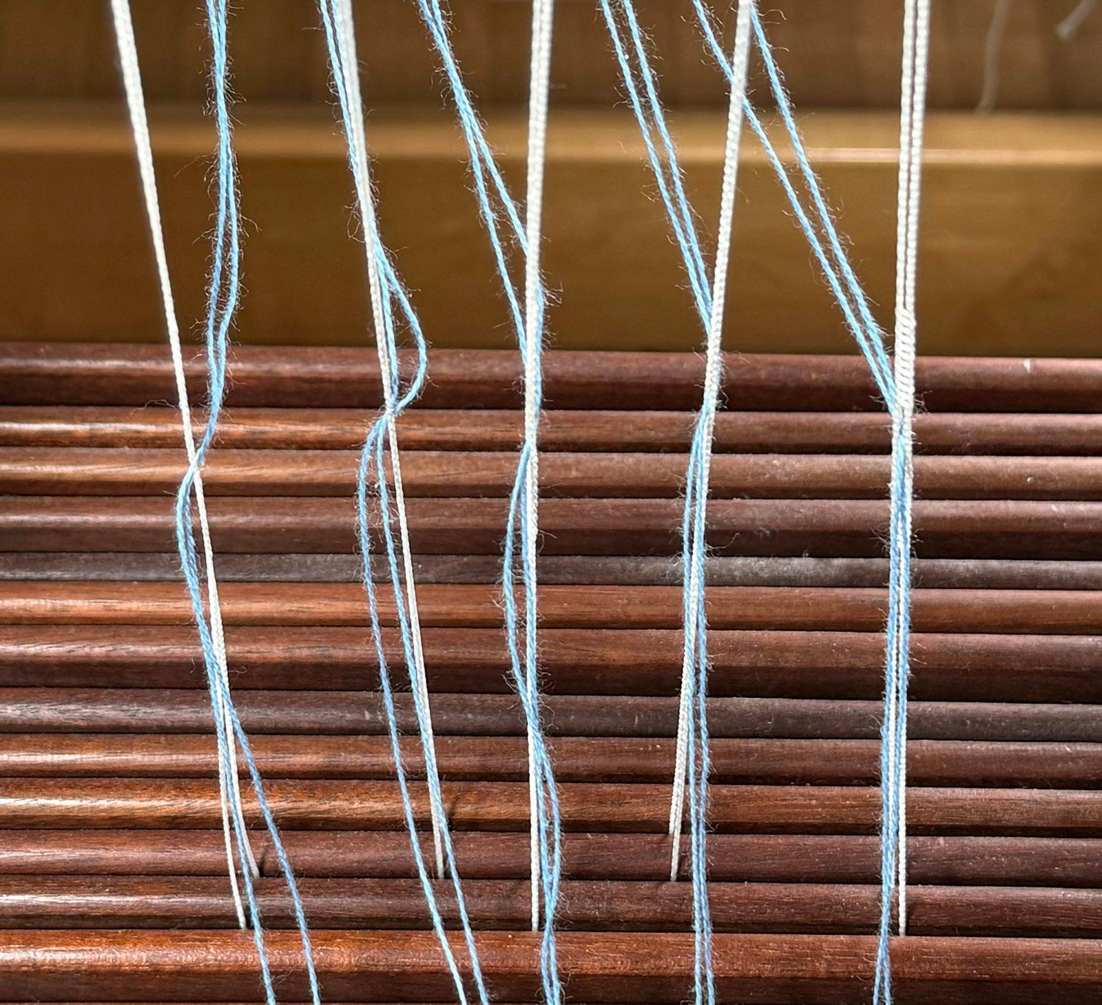 All Sorts of Warp Ends: Single, Doubled, and Working Primary Image